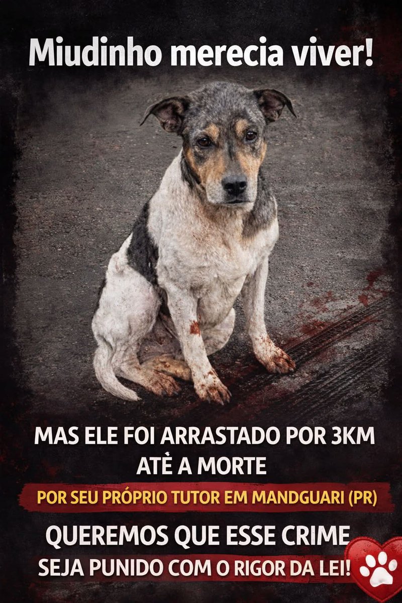 Lola 🧠🎯 tweet media