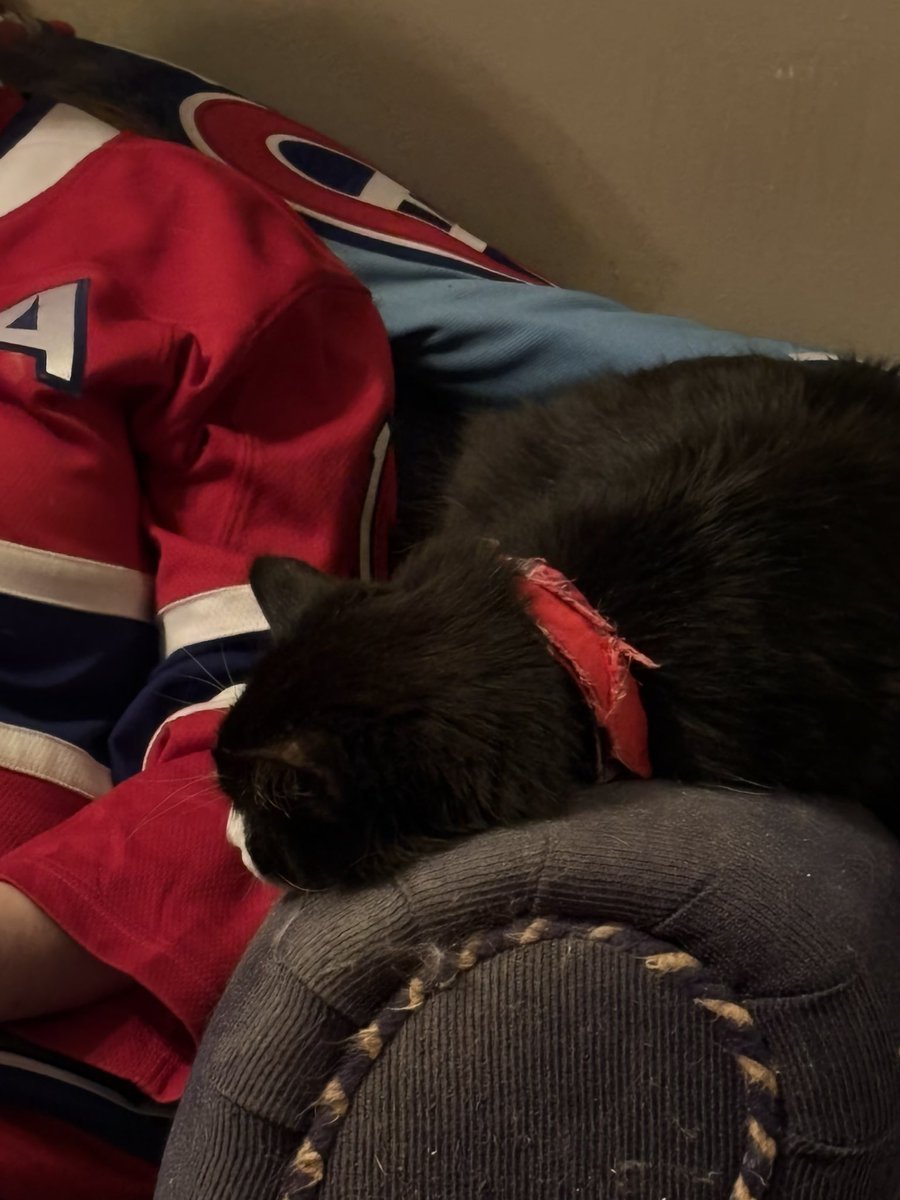 jakey & jade - the hockey catz tweet media