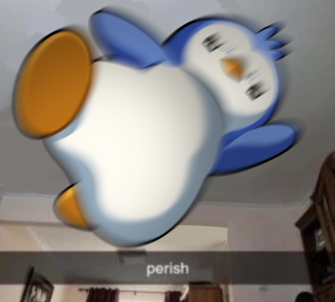pp 🐧 tweet media