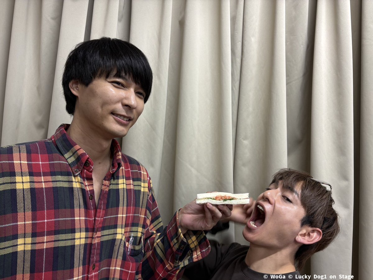 ラッキードッグ1 on Stage tweet media