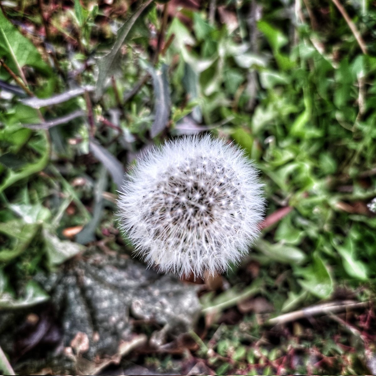 ElevenTroy's tweet image. #naturephotography