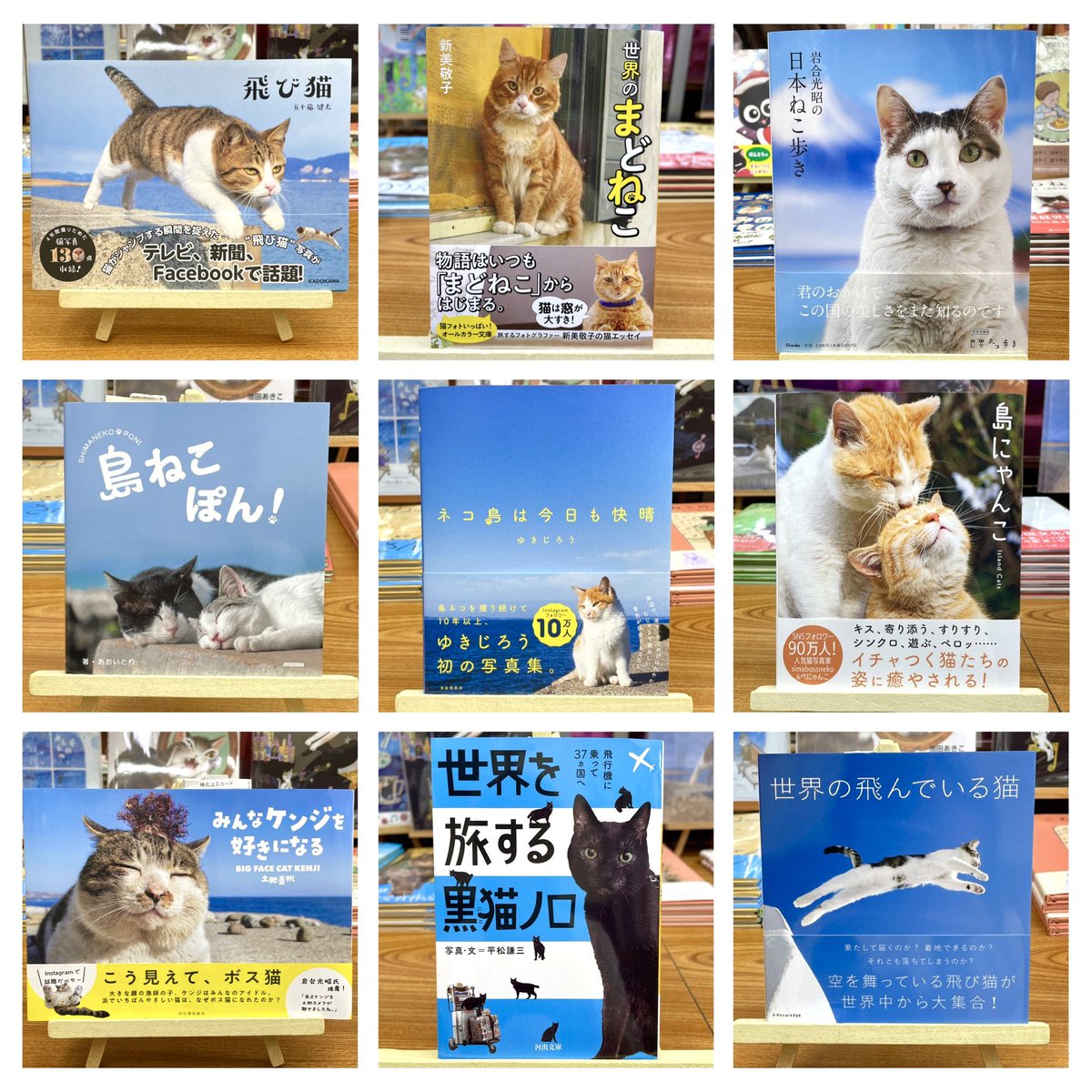 猫本専門 神保町にゃんこ堂_姉川書店 (@anealoha65) / Posts / X