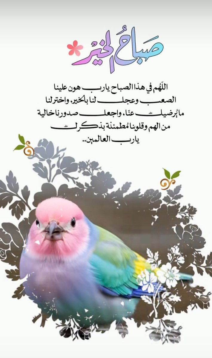 🦋الهنائيـّـة🦋💙 tweet media