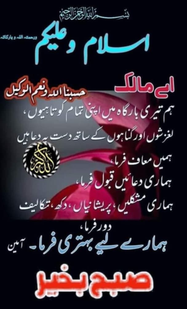 علی شیر tweet media