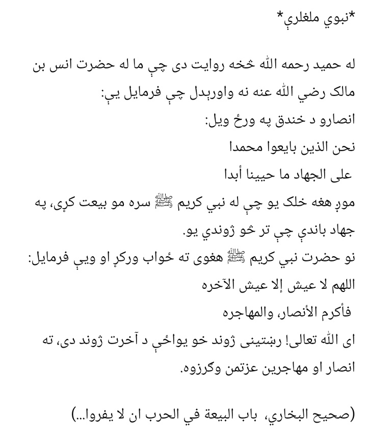 قاري نقیب الله ریحان tweet media