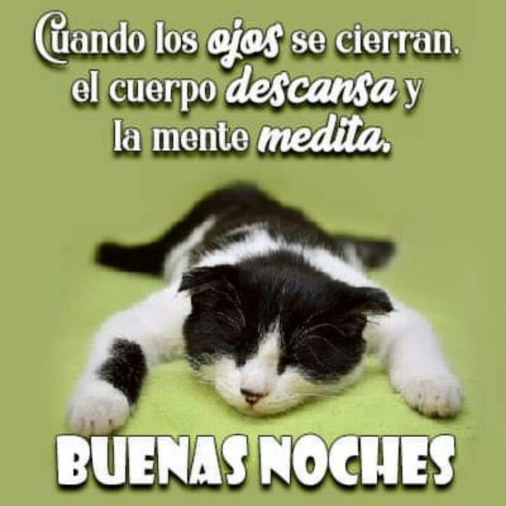 buenas noches