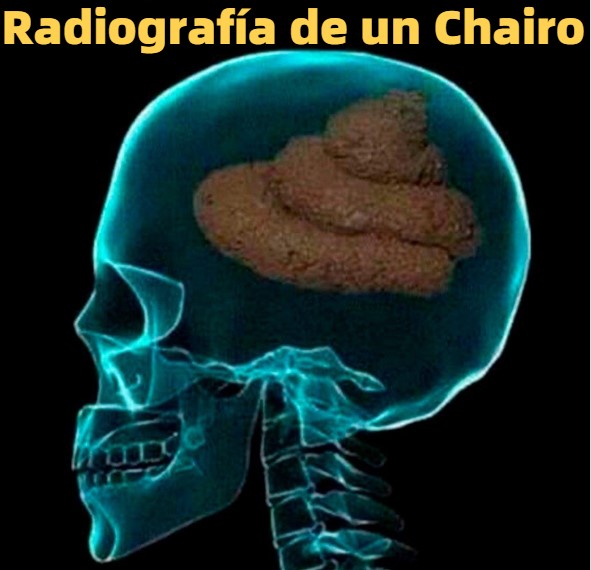 Libertad Mx ⚖️🗽📚🎶🌹 tweet media