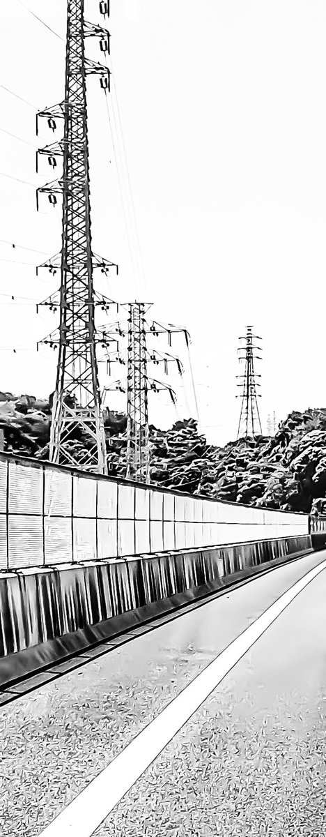 見つけたと固定した瞬間 それは死ぬ