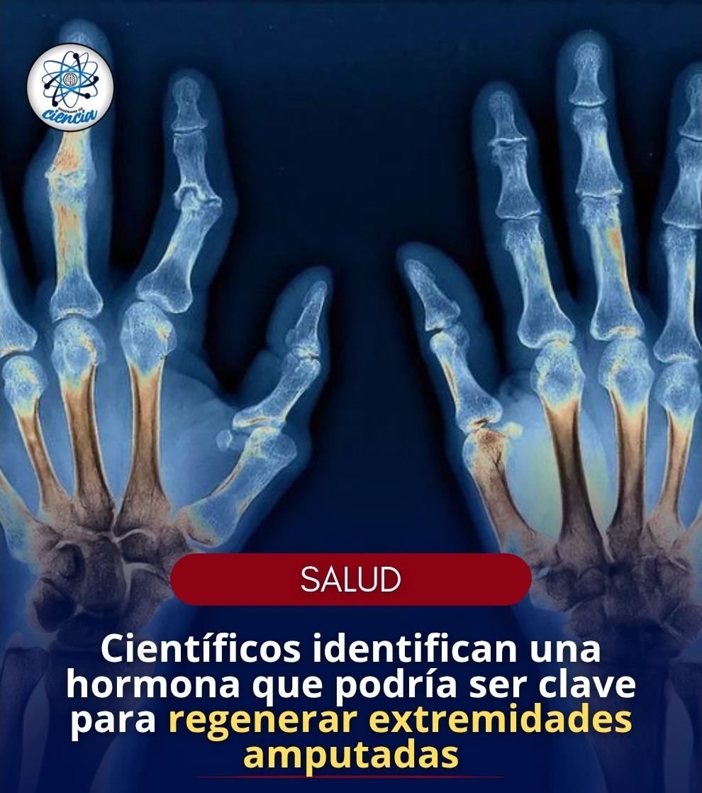 Enséñame de Ciencia tweet media