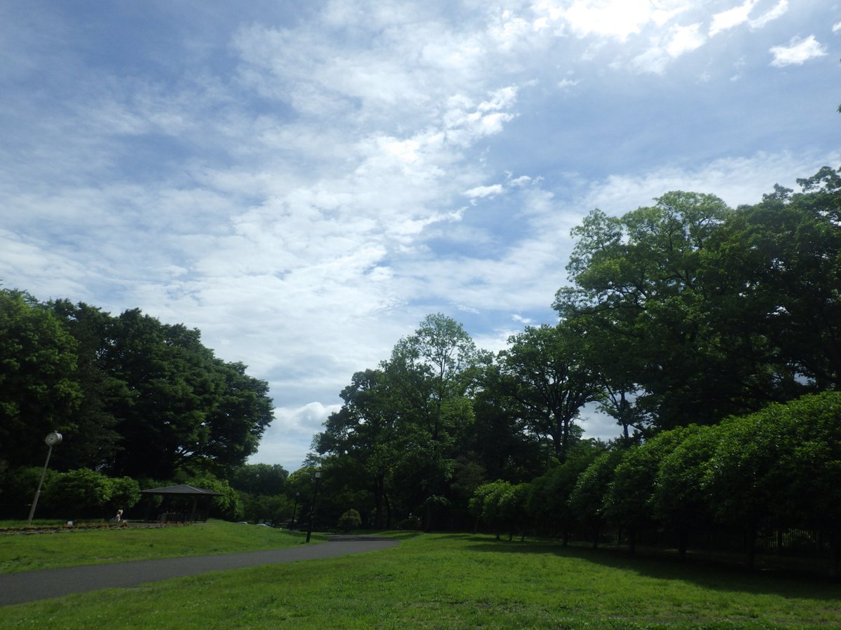 都立蘆花恒春園 tweet media