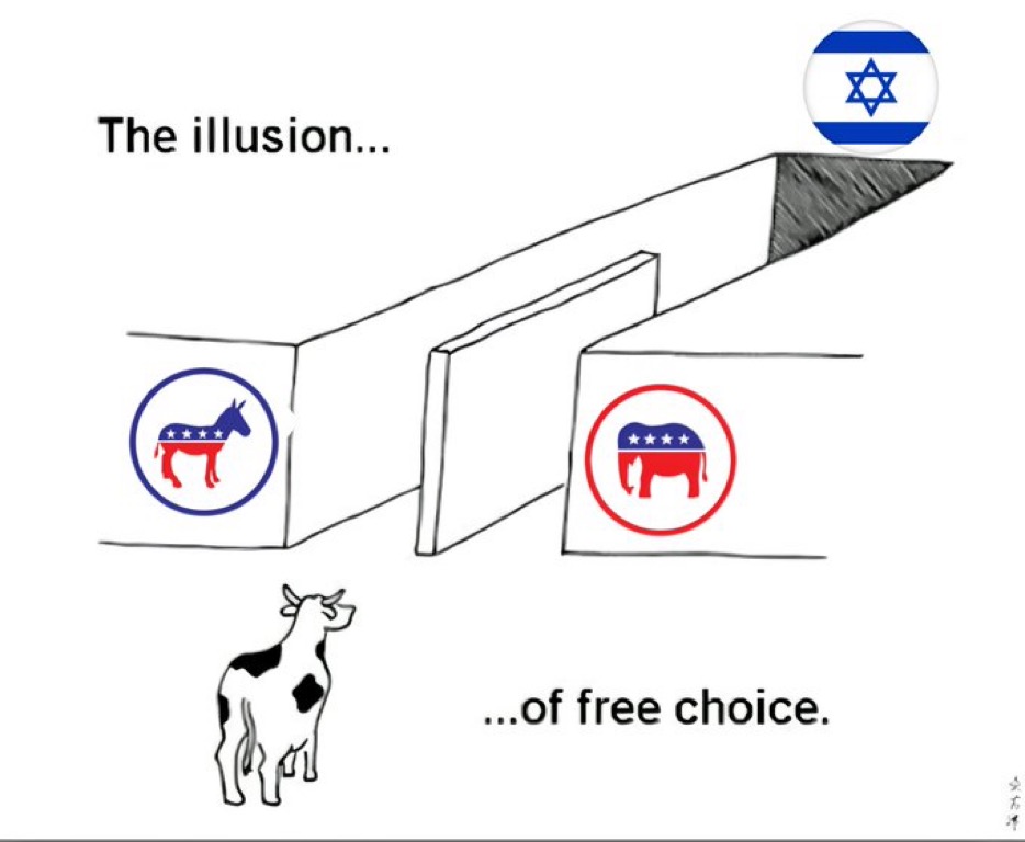 Noah’s Ark 🚢 tweet media
