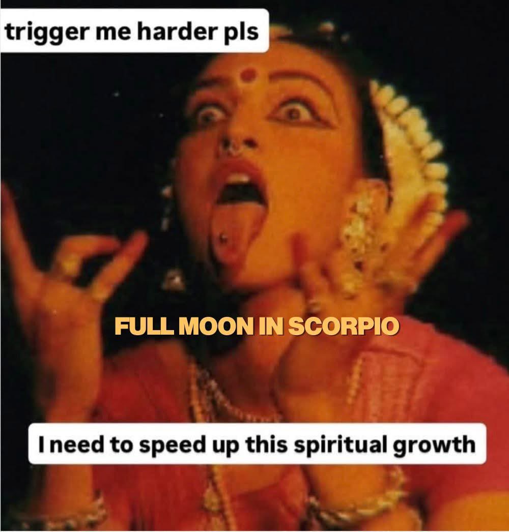 Indigo Rayne tweet media