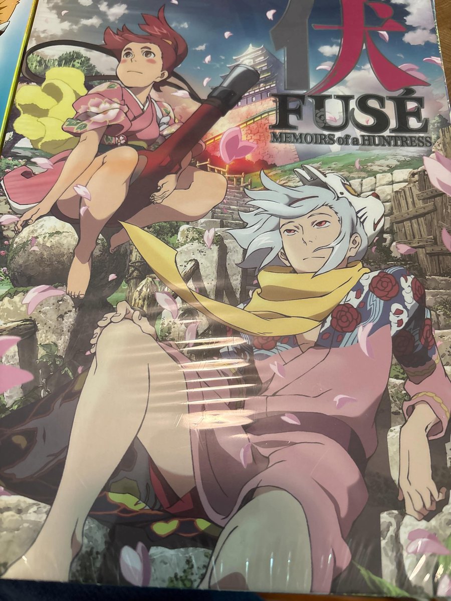 One of my favorite physical releases, the NIS boxsets are a thing of beauty. All of them are rectangular with gorgeous art work on each side. They all are structured exactly the same with the DVD/blurays + a fancy big art book inside! One day I hope to collect it all! 
#anime