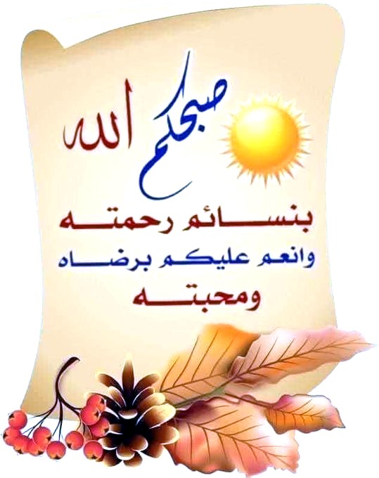 على سليم #ابوعمر tweet media