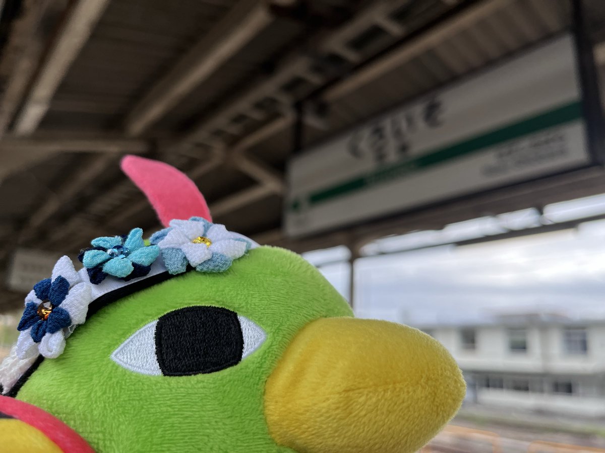 ねいてぃおーね tweet media