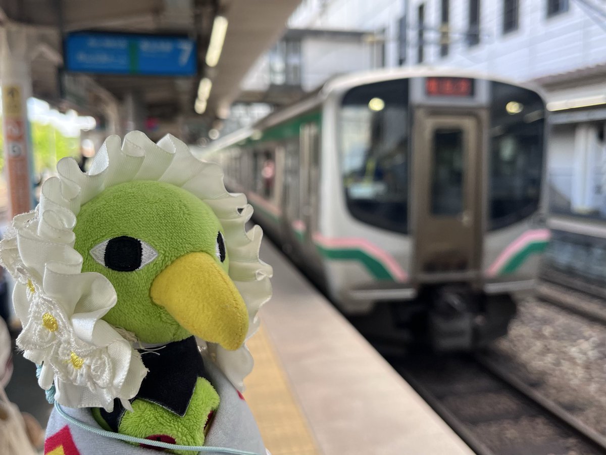 ねいてぃおーね tweet media
