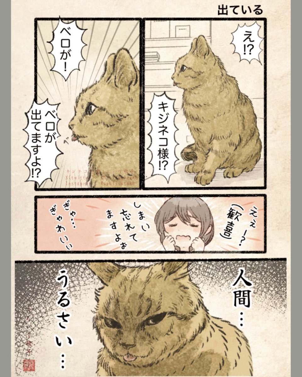 キジネコ様 tweet media