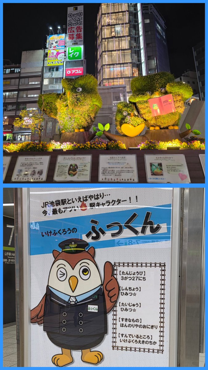 ふくちゃん♪ tweet media