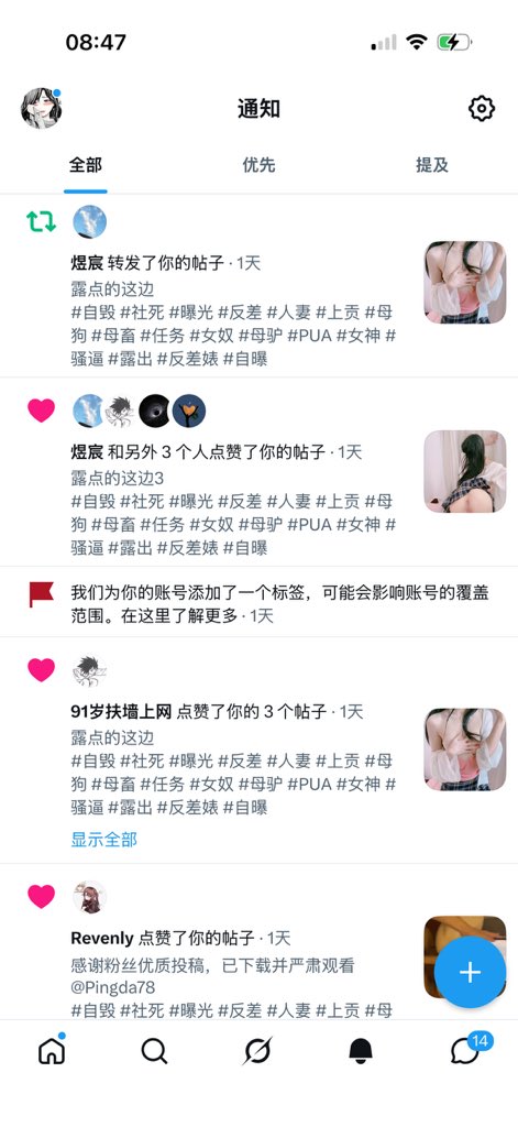 Mystery tweet media