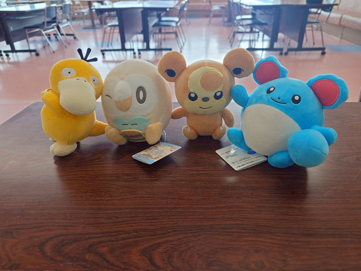 西條 士別店で 昨日開催をさせて頂いた ポケカ&デュエマ交流会は