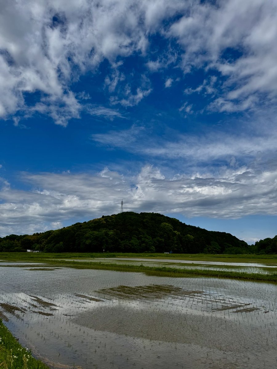 skgcmkt1's tweet image. 散歩中

風が心地よい♪

#photography #写真 
#photo #キリトリセカイ
#写真で伝えたい私の世界
#写真好きな人と繋がりたい
#ファインダー越しの私の世界
#カメラ好きな人と繋がりたい
#イマソラ