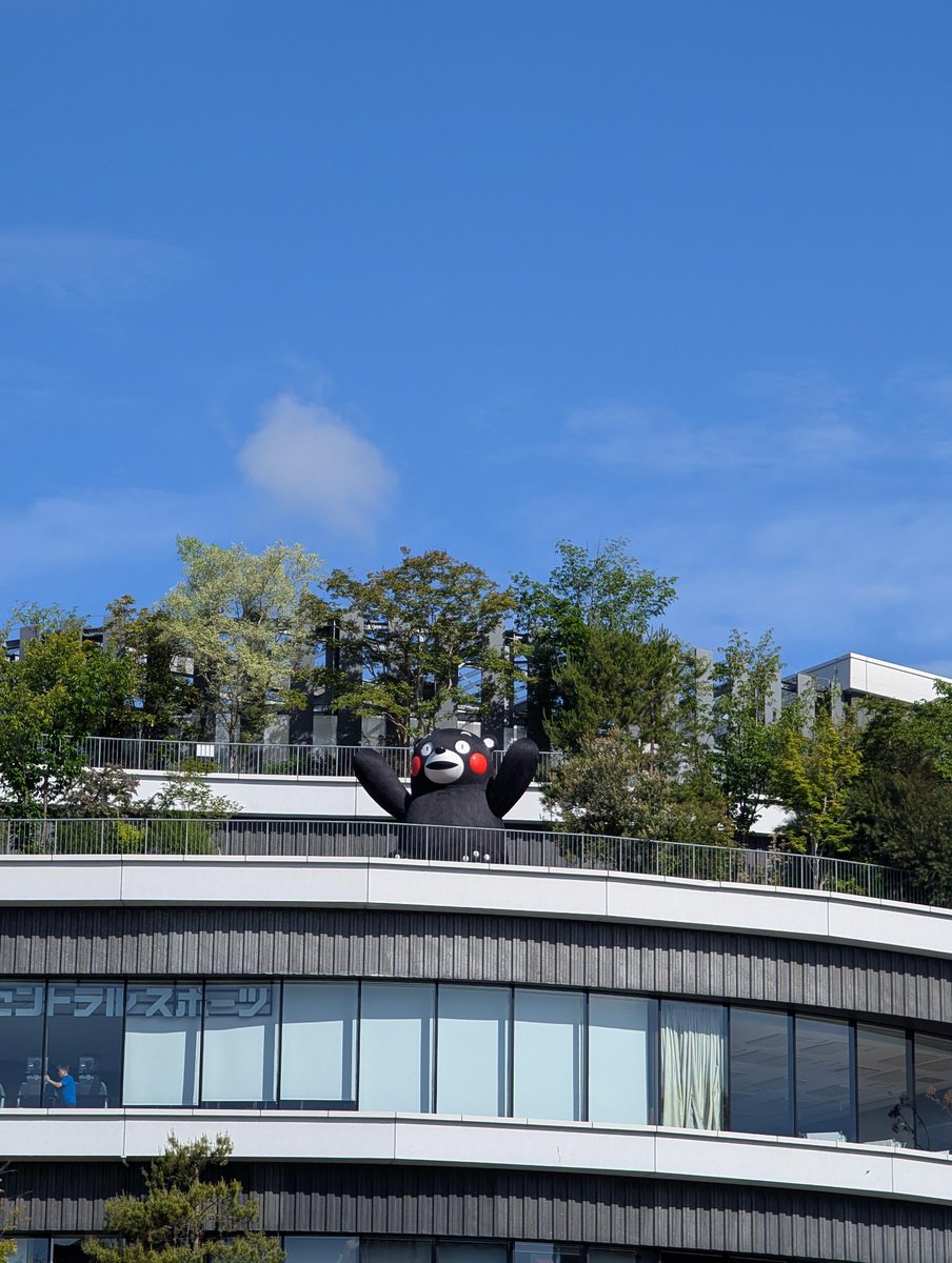 熊本よか隊🐻‍❄️チームよかくま💙日本保守党 tweet media