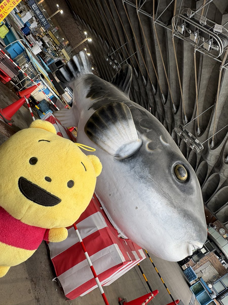 mar111137's tweet photo. しものせき！🐟
#にしむらゆうじ
#ぷうじ
#下関 https://t.co/RUJu6BDFk7