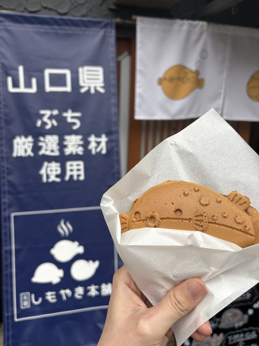 mar111137's tweet photo. しものせき！🐟
#にしむらゆうじ
#ぷうじ
#下関 https://t.co/RUJu6BDFk7