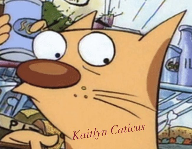 Mrs Caticus tweet media