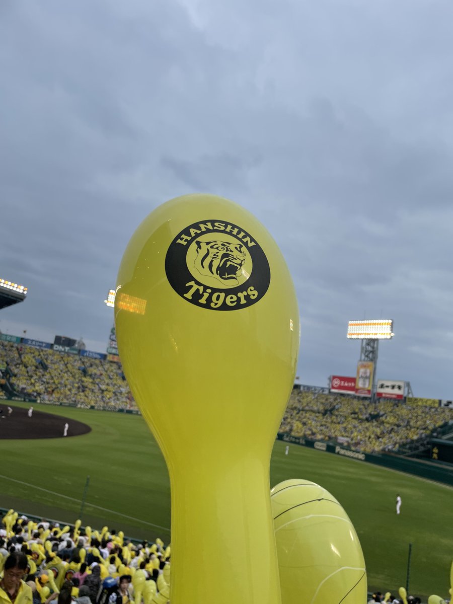hrms405691's tweet photo. 昨日投稿できなかったけどとらほー🐯
GWだから家族で来てる方が多かった様々な年代から愛される球団✨
投手戦で1つのチャンスをものにしましたね！
コールドゲームも雨の中観戦するのも初めてで新鮮。
中野選手おかえりなさいー
スタメン発表の時めっちゃ盛り上がりました！
#阪神タイガース
#熱覇 https://t.co/isHqdXpAGJ
