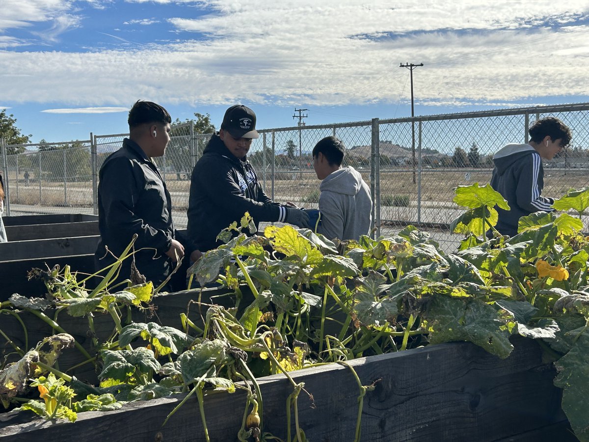CA Green Ribbon tweet media