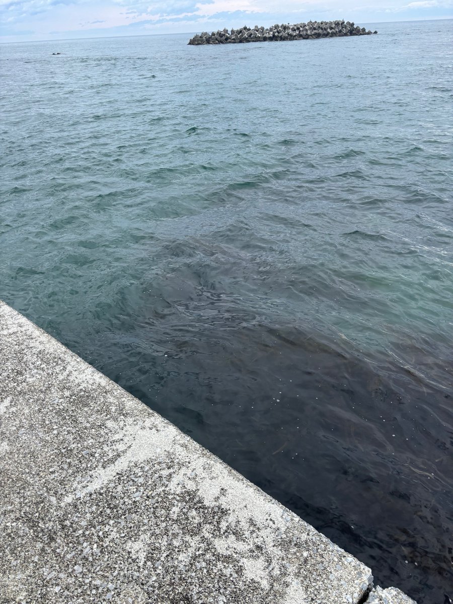 kensuke60303's tweet photo. ロックやろうと思っだけど濁りすぎ💦 https://t.co/GrjGMz8J7j