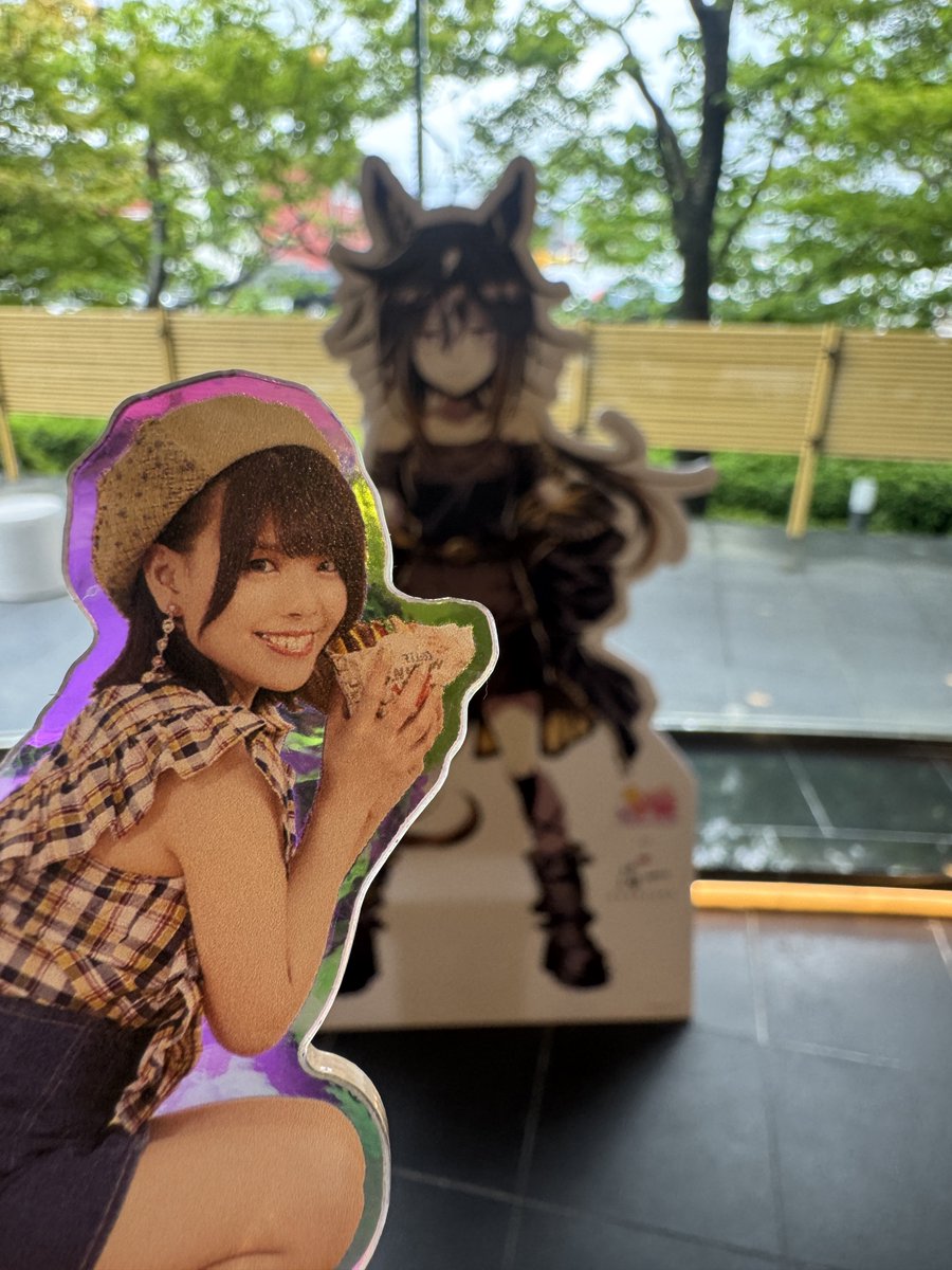 ヴェヴェ tweet media