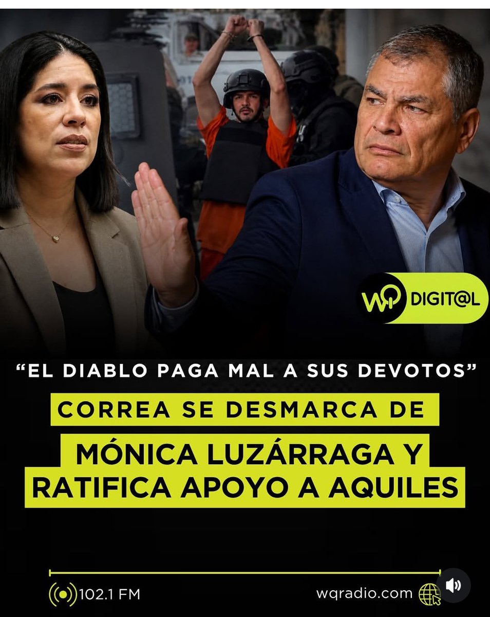 GATA PATTY 🐾 ↙️ tweet media