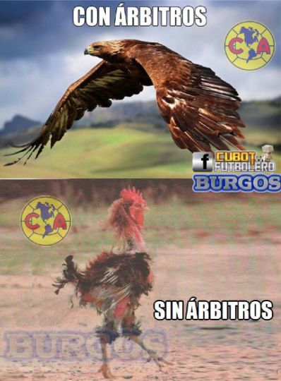 Pumas Tlaxcala 🐾🇲🇽 tweet media