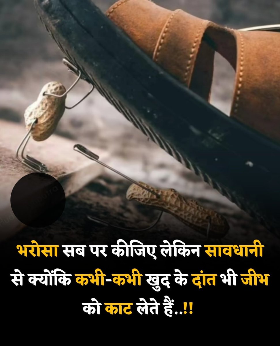 Mrajitofficial's tweet image. Bharosa sab par kijiye....💖
#viral 
#post 
#विश्वशांति_महाधार्मिकअनुष्ठान