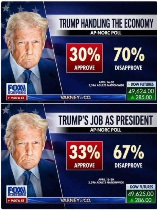 ThePatrioticBlonde™🇺🇸 tweet media