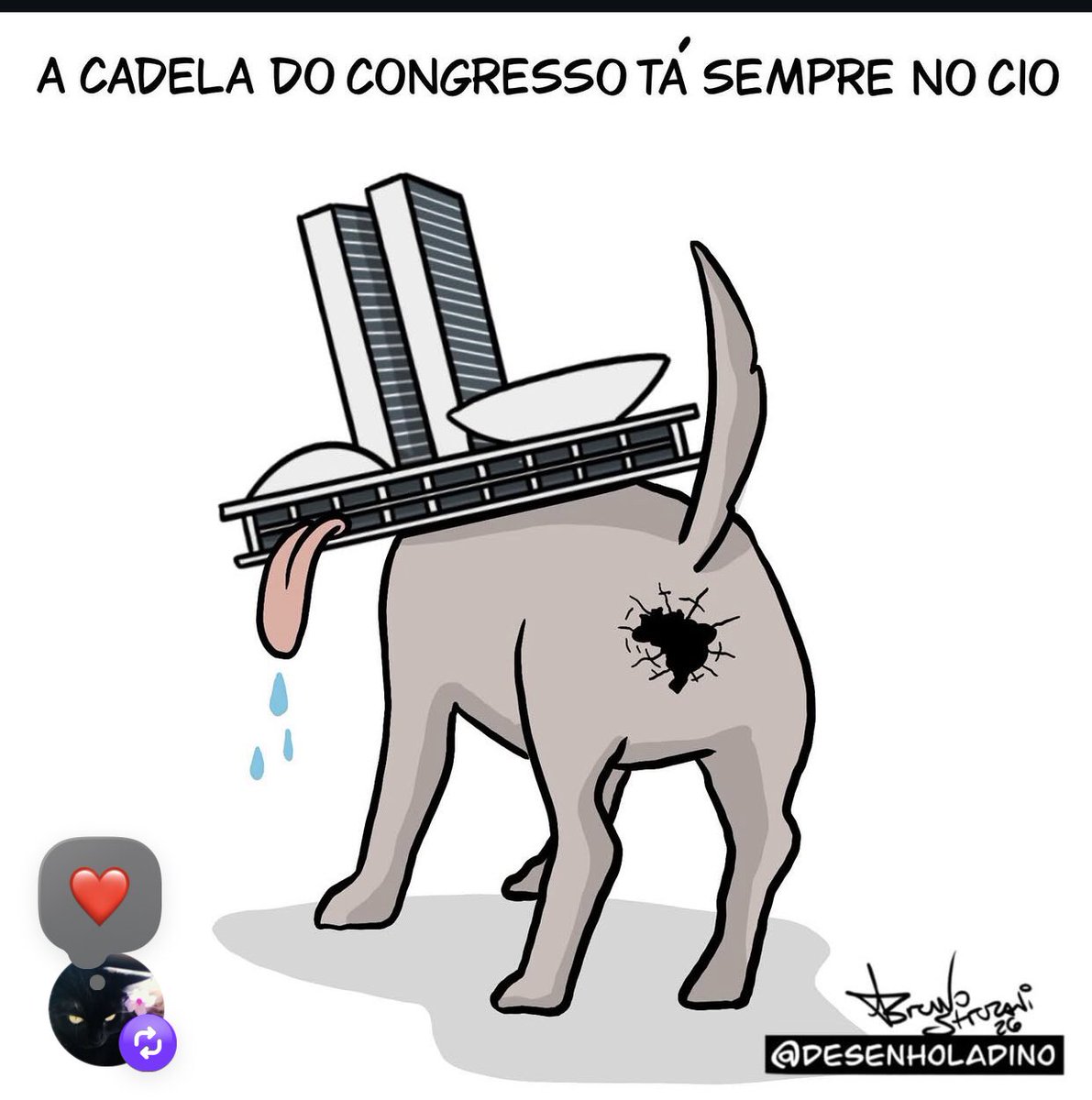 Sara Barbosa tweet media