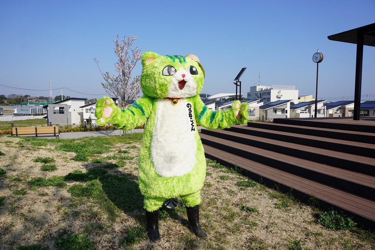 のらねこくん tweet media