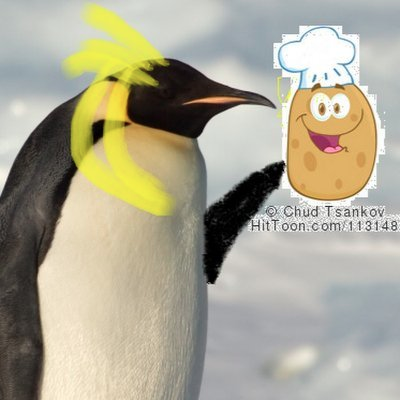 League Of Penguins🐧🥔 tweet media