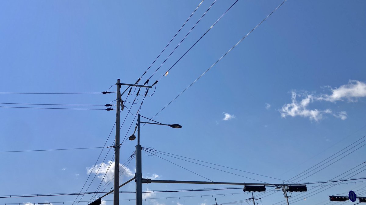 판양이제노를삼켜버렸다(판다맛양갱) tweet media