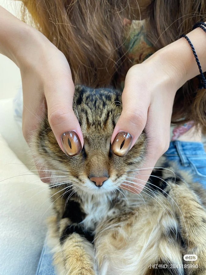 Miaw tweet media