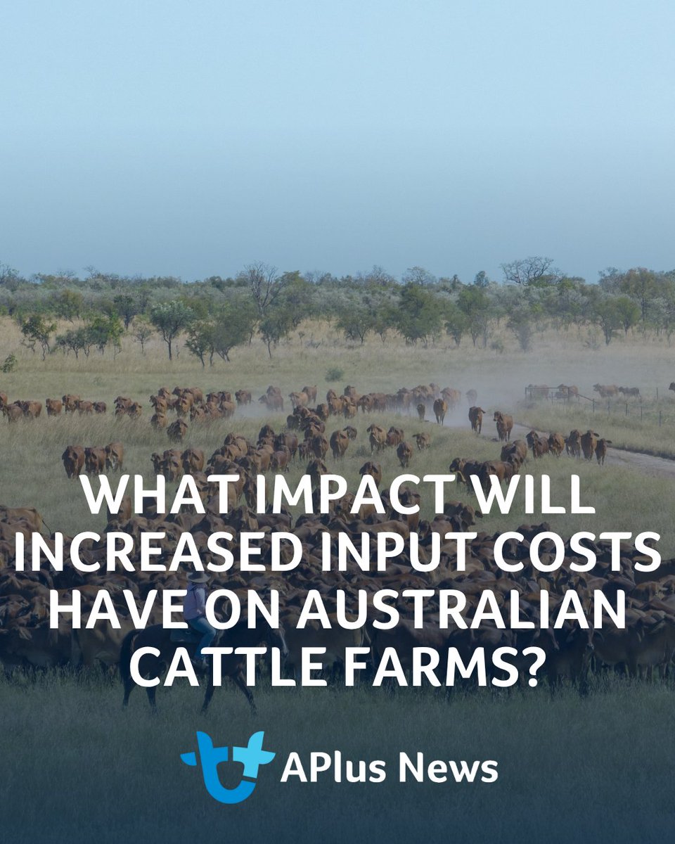 AuctionsPlus tweet media