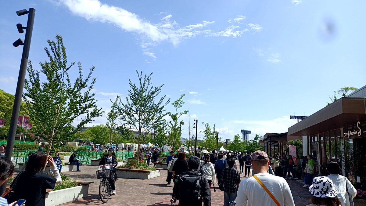 よっしー🍏イミュ5/4 tweet media