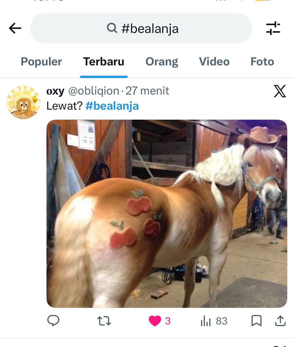 𝐨xy tweet media