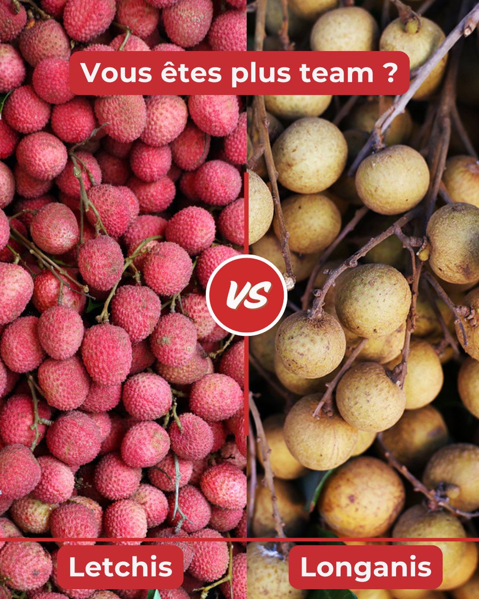 Imaz Press Réunion 🇷🇪 tweet media