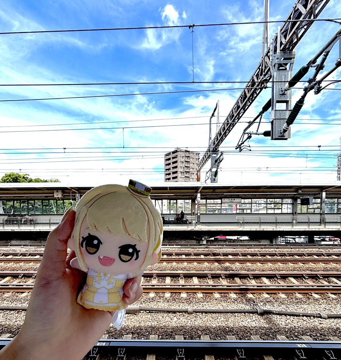 橘ゆう tweet media