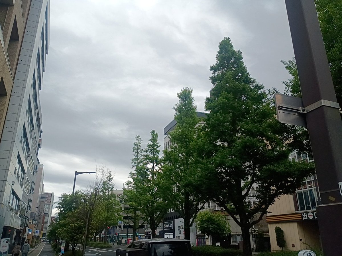 工房 藍美(koubouaibi//こうぼう あいび)🌿 tweet media