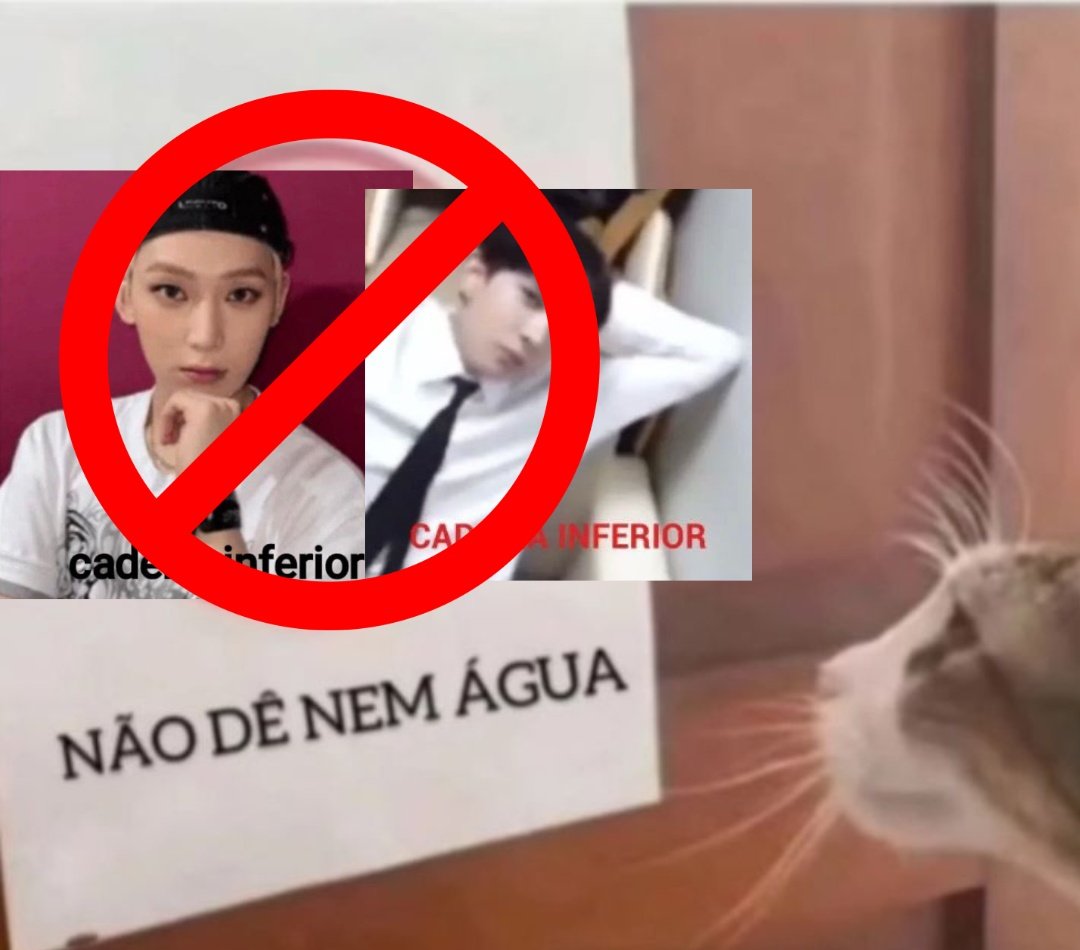 MAVI || VAI NO ENHYPEN‼️ tweet media