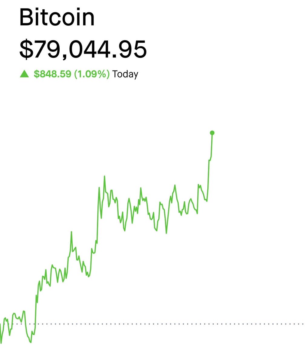 The ₿itcoin Therapist tweet media